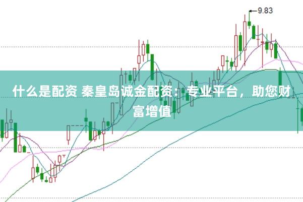 什么是配资 秦皇岛诚金配资：专业平台，助您财富增值