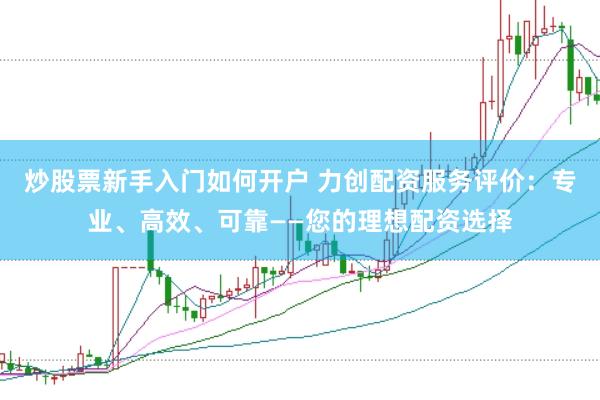 炒股票新手入门如何开户 力创配资服务评价：专业、高效、可靠——您的理想配资选择
