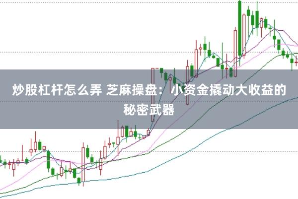 炒股杠杆怎么弄 芝麻操盘：小资金撬动大收益的秘密武器